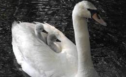 Lee’s One Word Monday –&nbsp;2/15/16