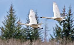 Lee’s Six Word Saturday –&nbsp;7/30/16