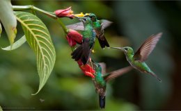 Lee’s Seven Words – Satisfied With The Fruit Of Thy&nbsp;Works