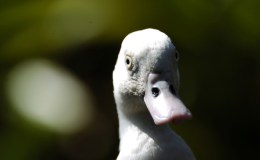 Lee’s Two Word Tuesday –&nbsp;8/9/16