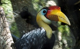 Looking Back Through 2022 and&nbsp;Before