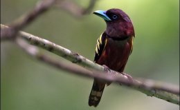 Sunday Inspiration Update