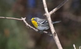 Sunday Inspiration – At&nbsp;Calvary