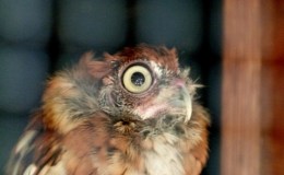 Lee’s Two Word Tuesday –&nbsp;8/8/17