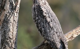 Sunday Inspiration – Hide Thou&nbsp;Me