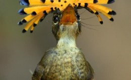 Sunday Inspiration –&nbsp;Variety