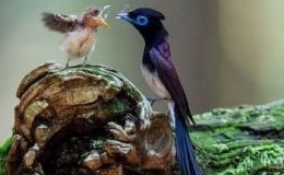 Lee’s Seven Word Sunday –&nbsp;7/23/17