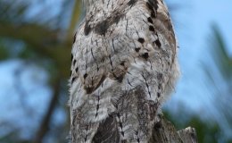 Lee’s Six Word Saturday –&nbsp;3/5/16