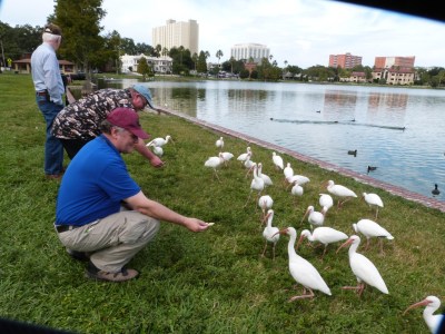Dr Jim, Golden Eagle and Dan at Lake Morton
