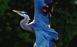 Lee’s Four Word Thursday –&nbsp;5/19/16