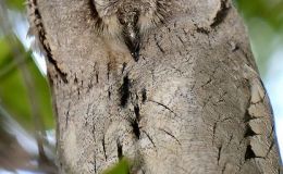 Lee’s Six Word Saturday –&nbsp;3/4/17