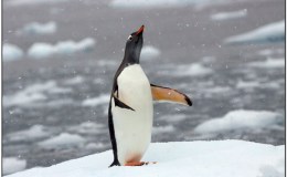 Blessings From The&nbsp;Lord