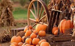 Happy Thanksgiving –&nbsp;2015