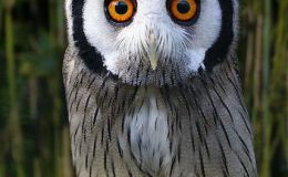 Lee’s Six Word Saturday –&nbsp;9/10/16