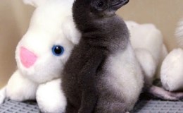 Lee’s Four Word Thursday –&nbsp;3/30/17