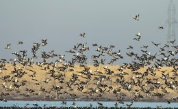 Lee’s Five Word Friday –&nbsp;9/9/16