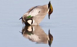 Lee’s Seven Word Sunday –&nbsp;10/23/16