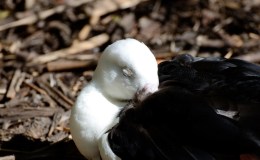 Lee’s One Word Monday –&nbsp;8/8/16