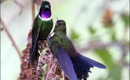 Angels…….. as explained by&nbsp;Children