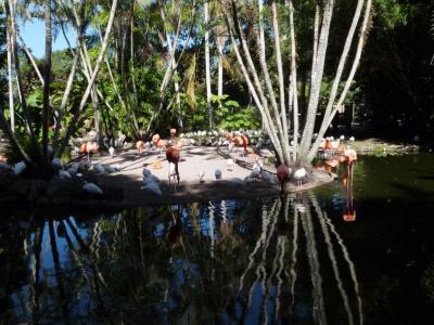 Birds at Flamingo Gardens by Lee 2014