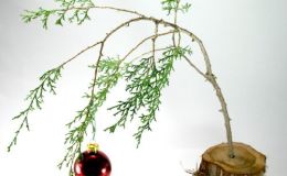 Dot’s Christmas Tree