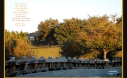 I’m on the Right&nbsp;Way