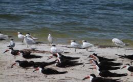 Lee’s Four Word Thursday –&nbsp;7/21/16