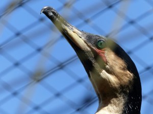 Look at that beauty!