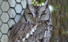 Lee’s Two Word Tuesday –&nbsp;5/10/16