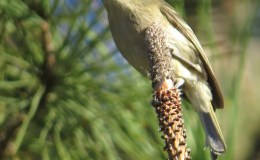 Photos by Michael&nbsp;Woodruff