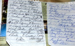 Alternative Bird Lists