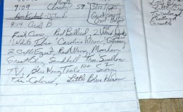 Birdwatching Tips #2