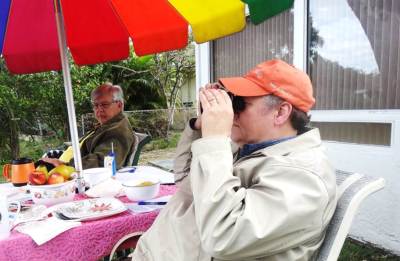 PondsideBirdwatching-WebelBackyard.2