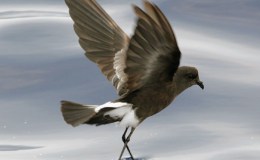 Lee’s Two Word Tuesday –&nbsp;8/2/16