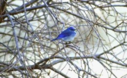 Sabbath Rest Invitaional – Week&nbsp;5