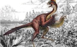 The Chicken From Hell –&nbsp;(Re-post)