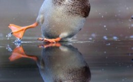 Update – In&nbsp;Hospital