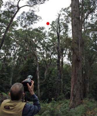 Ian at work photographing Owl