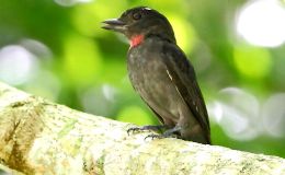 Sunday Inspiration – There Is A&nbsp;Redeemer