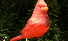 How Can a Mechanical ‘Cardinal’ Make&nbsp;‘Selections’?