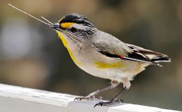 Sunday Inspiration –&nbsp;Worthy