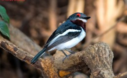 Lee’s Two Word Tuesday –&nbsp;3/29/16