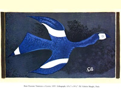 White-faced Heron (Egretta novaehollandiae) Lithograph from Ian