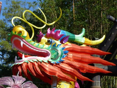 Dragon - ZooMinations at Lowry Park Zoo