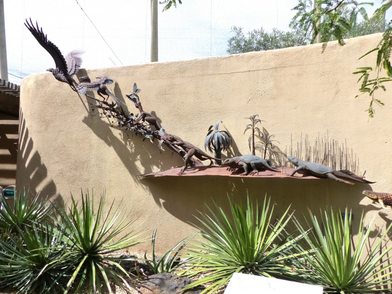 Dino to Bird Display - Desert Museum Tucson by Lee