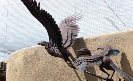 ARE BIRDS ‘COUSINS’ TO REPTILES?&nbsp;NO.