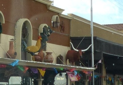 Large Chicken in Ft Stockton TX by Lee