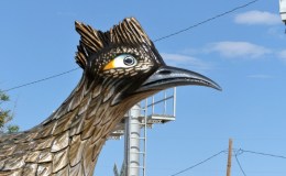 My Western Greater&nbsp;Roadrunners