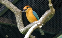 Lee’s Six Word Saturday –&nbsp;6/25/16