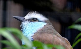 Lee’s One Word Monday –&nbsp;2/29/16